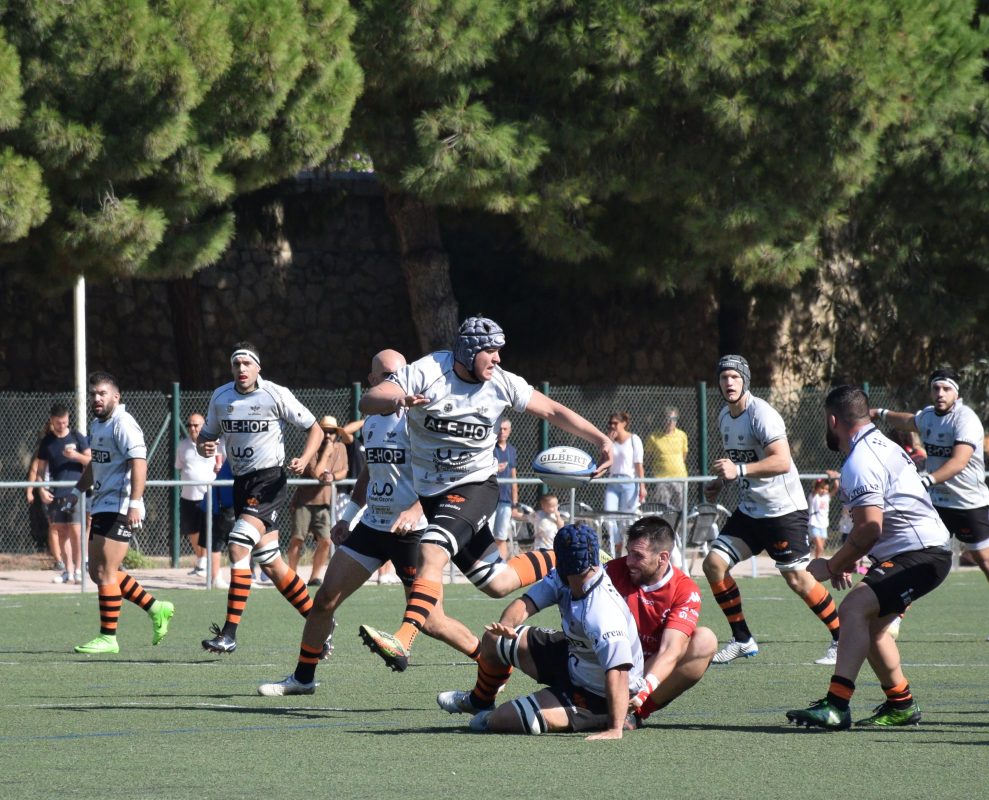 Club Polideportivo Les Abelles