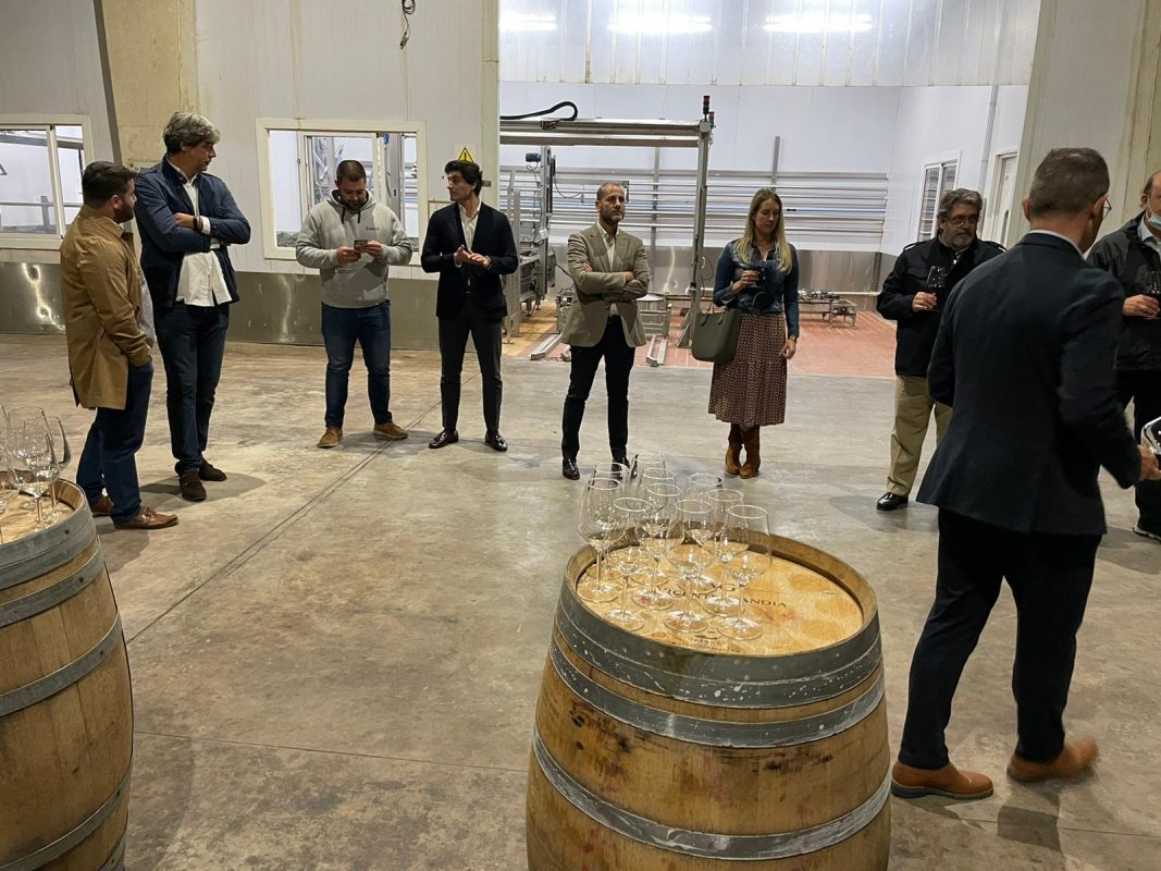 Club Polideportivo Les Abelles