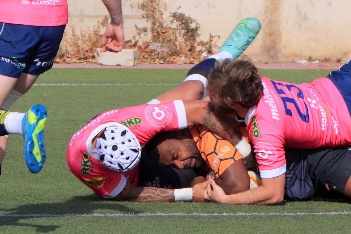 Club Polideportivo Les Abelles