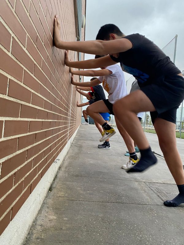 Club Polideportivo Les Abelles