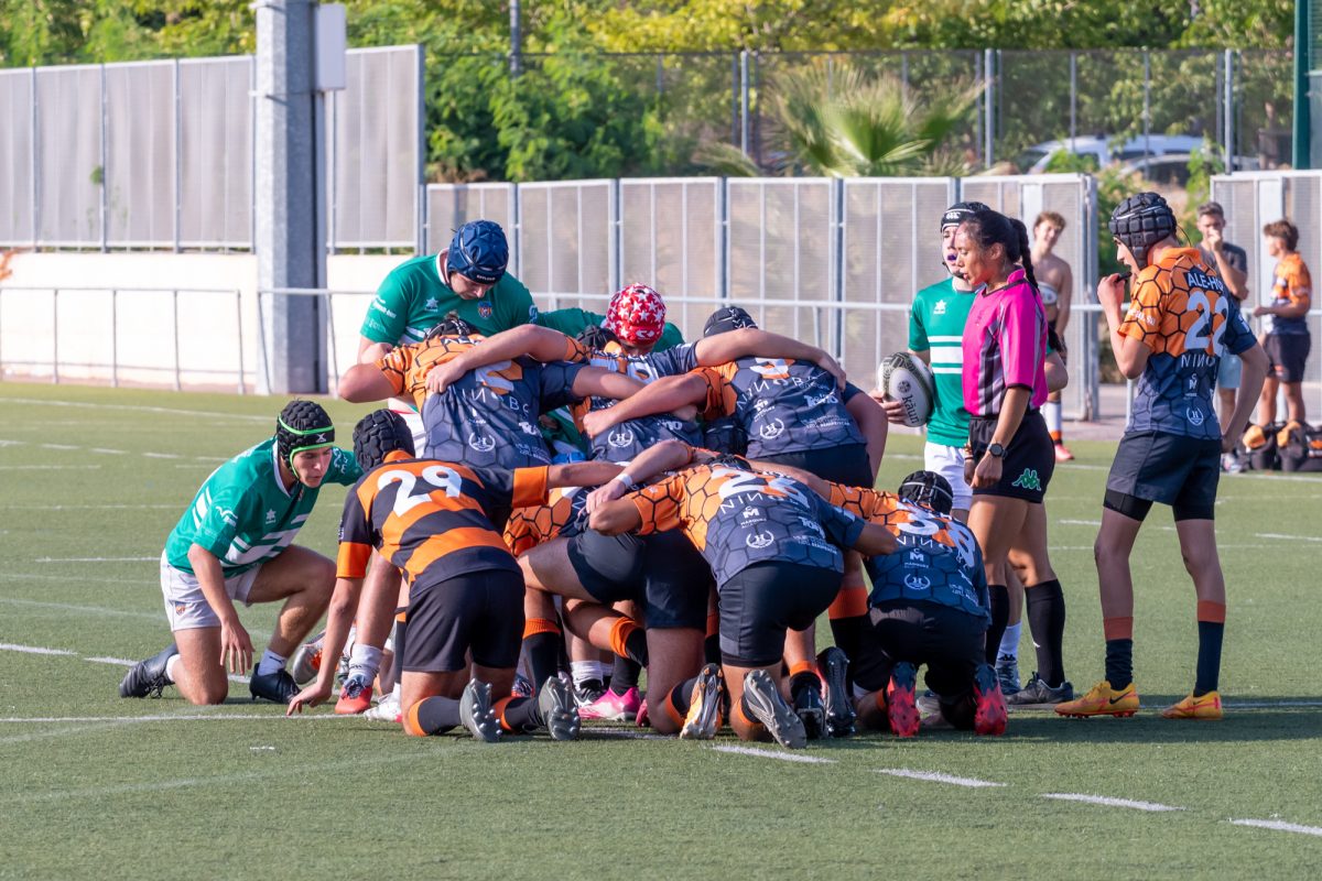 Club Polideportivo Les Abelles