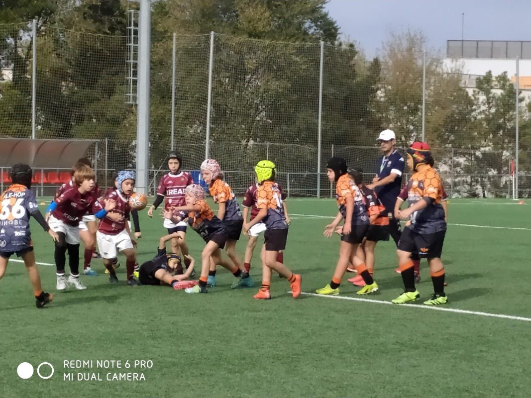Club Polideportivo Les Abelles