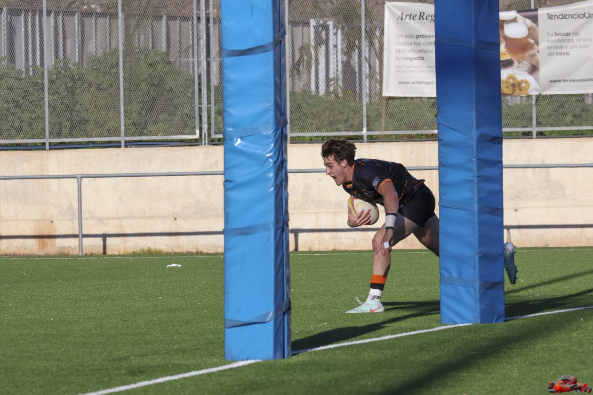 Club Polideportivo Les Abelles