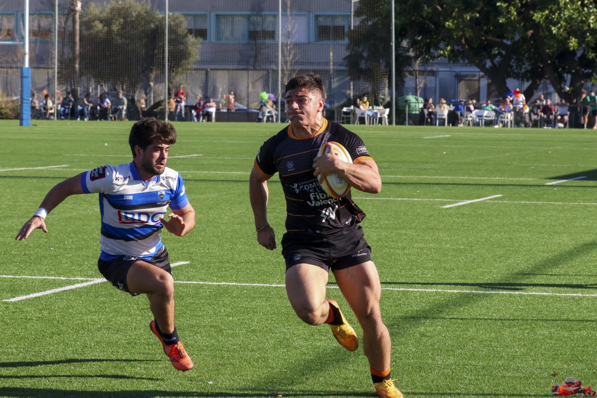Club Polideportivo Les Abelles